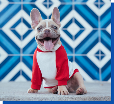 A partir de R$ 19,90 por mês